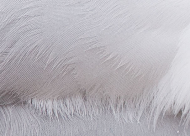 FeatherDetail